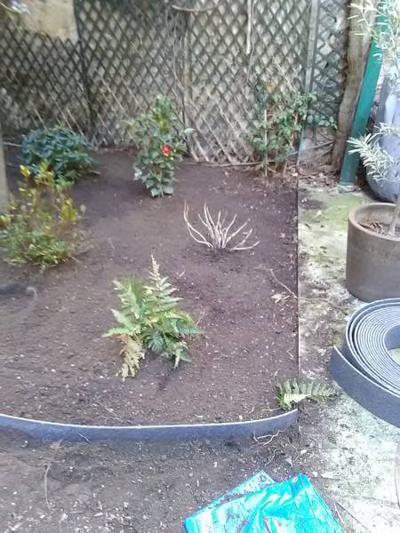 Nettoyage de jardin de fin d'hiver à Marseille 13006