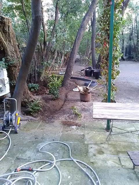 Nettoyage de jardin de fin d'hiver à Marseille 13006