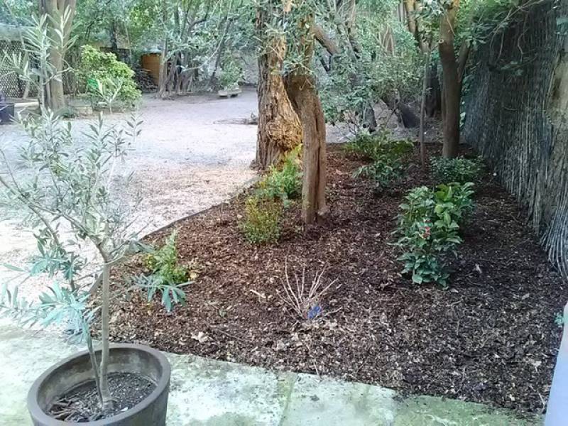 Nettoyage de jardin de fin d'hiver à Marseille 13006