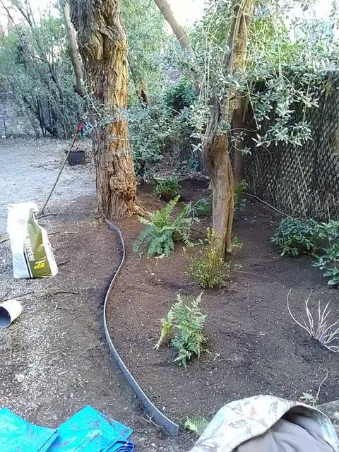 Nettoyage de jardin de fin d'hiver à Marseille 13006