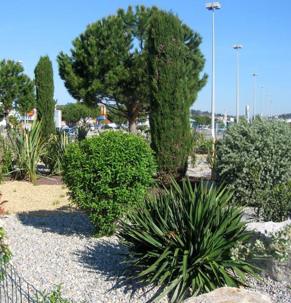 Travaux paysagers dans des espaces fréquentés par le public à PLAN DE CAMPAGNE