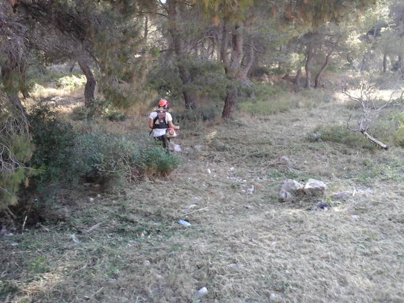 Débroussaillage obligatoire sur un terrain à La ciotat, St Cyr et Bandol