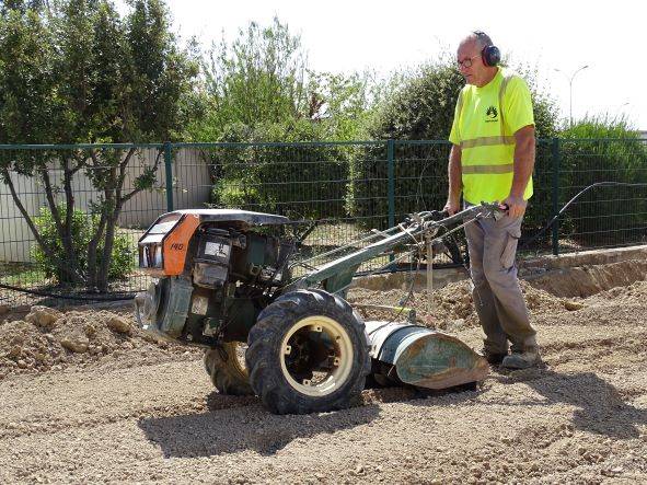 Création d'un gazon naturel par engazonnement à Marseille