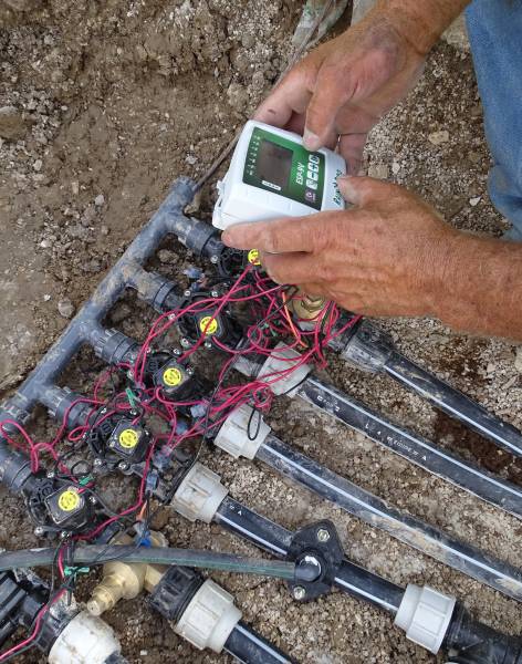 Création d'un gazon naturel par engazonnement à Marseille