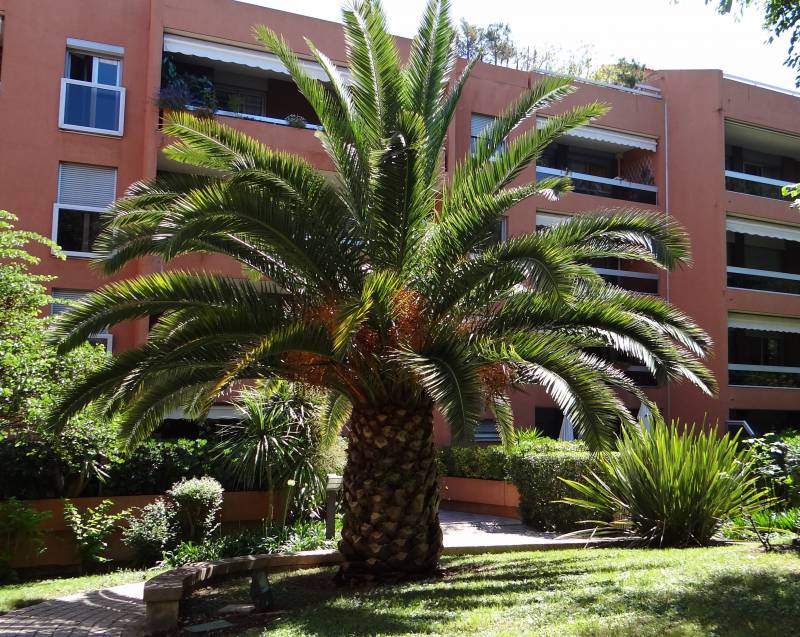 Entretien des espaces verts de copropriétés sur Marseille et ses environs