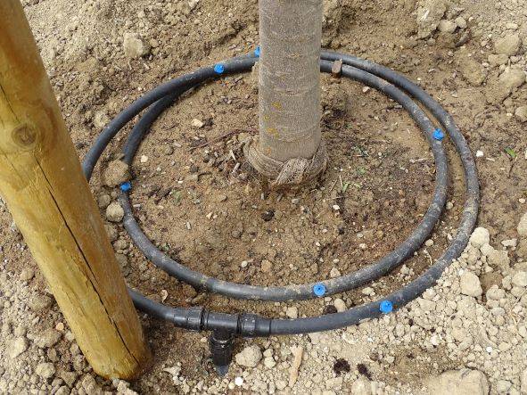 Préparation terrain pour un gazon en plaque avec arrosage automatique sur Rognac