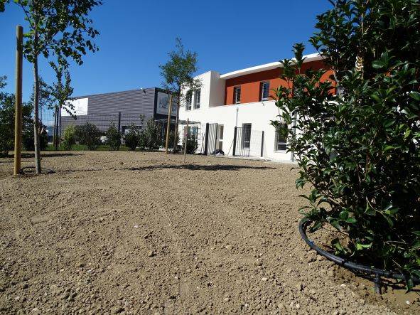 Création d'un gazon naturel par engazonnement à Marseille