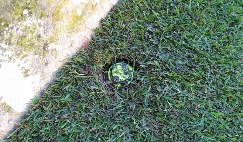 Préparation terrain pour un gazon en plaque avec arrosage automatique sur Rognac