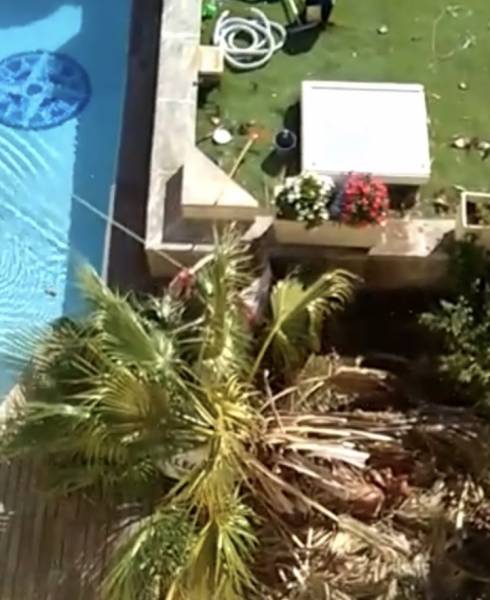 Abattage par rétention d'un Palmier à côté d'une piscine sur la Corniche à MARSEILLE