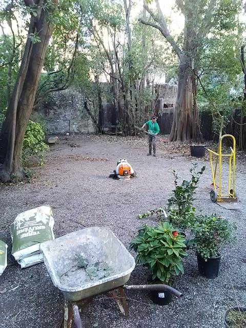 Nettoyage de jardin de fin d'hiver à Marseille 13006