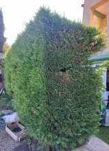 Notre zone d'activité pour ce service Taille des haies et des arbustes à domicile par un paysagiste avec coupe adaptée et élimination des déchets verts