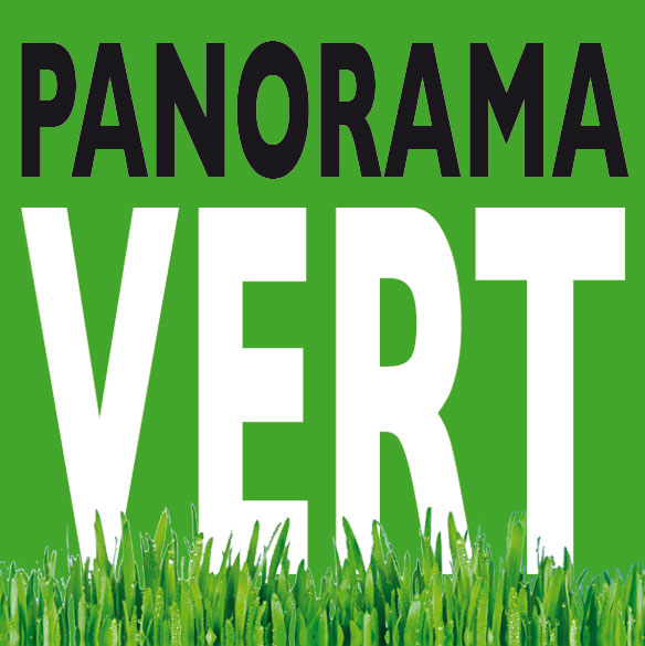 Panorama Vert